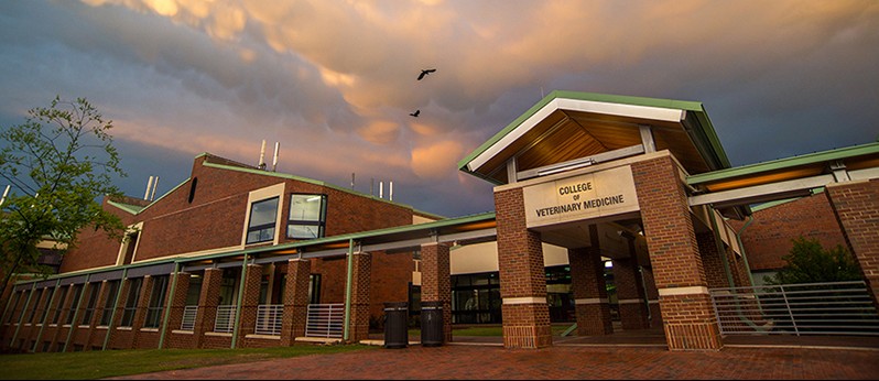 Front building of CVM with dramatic sunset. Birds flying overhead