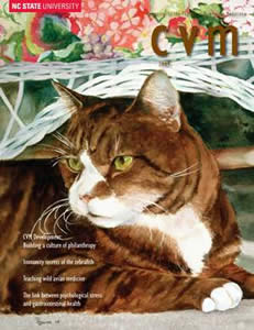 Tiger cat Ratso on the cover of CVM Magazine