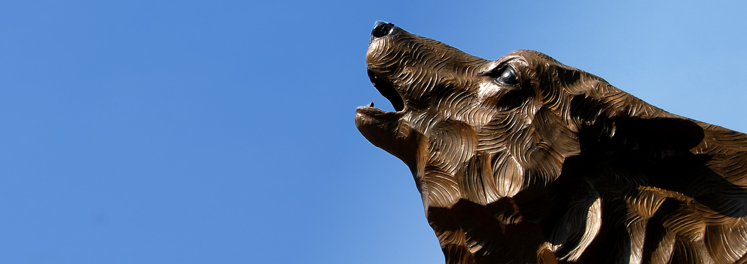 Wolf statues behind the Park Alumni building on Centennial Campus.