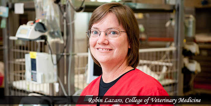 Robin Lazaro, Veterinary Health Complex, ICU