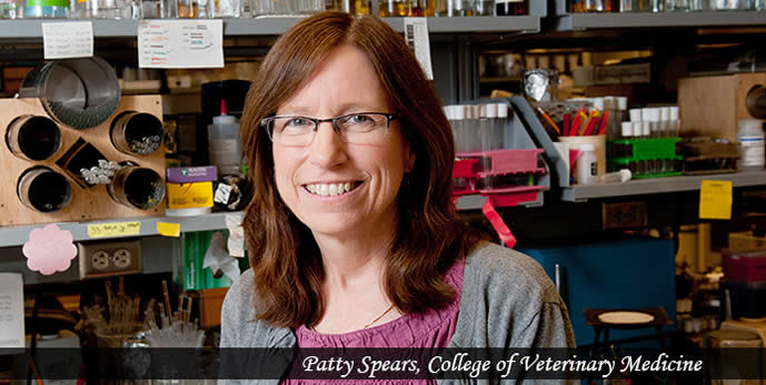 Patty Spears, Population Health and Pathobiology Department, Research
