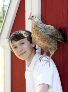 Chicken standing on boy's shoulder