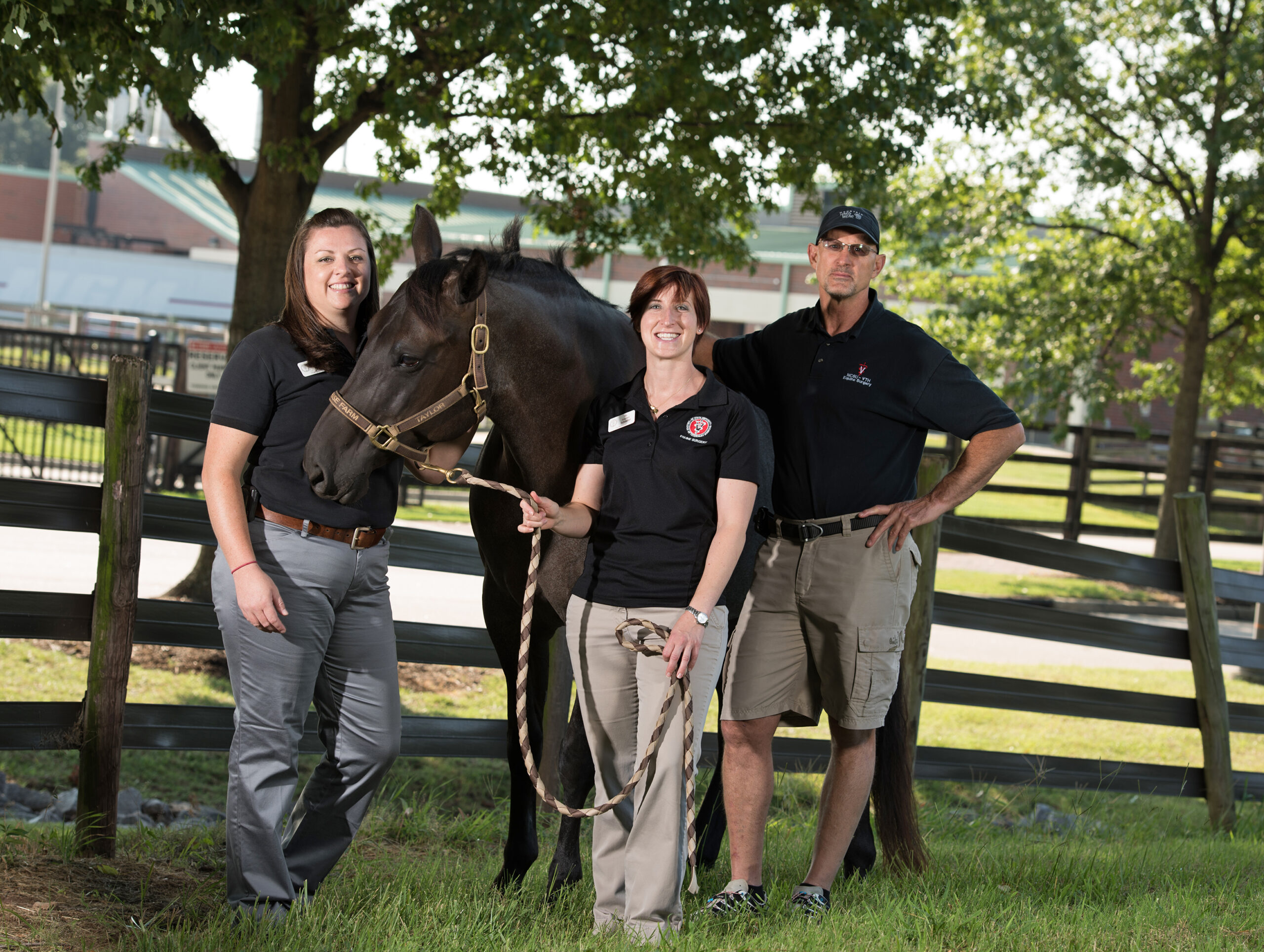 veterinarians stand under trees with horse