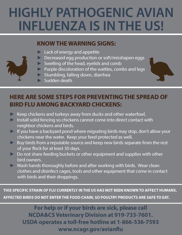 Know the warnings signs of Avian Flu!