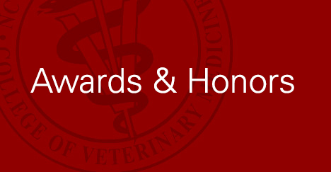 awards and honors banner