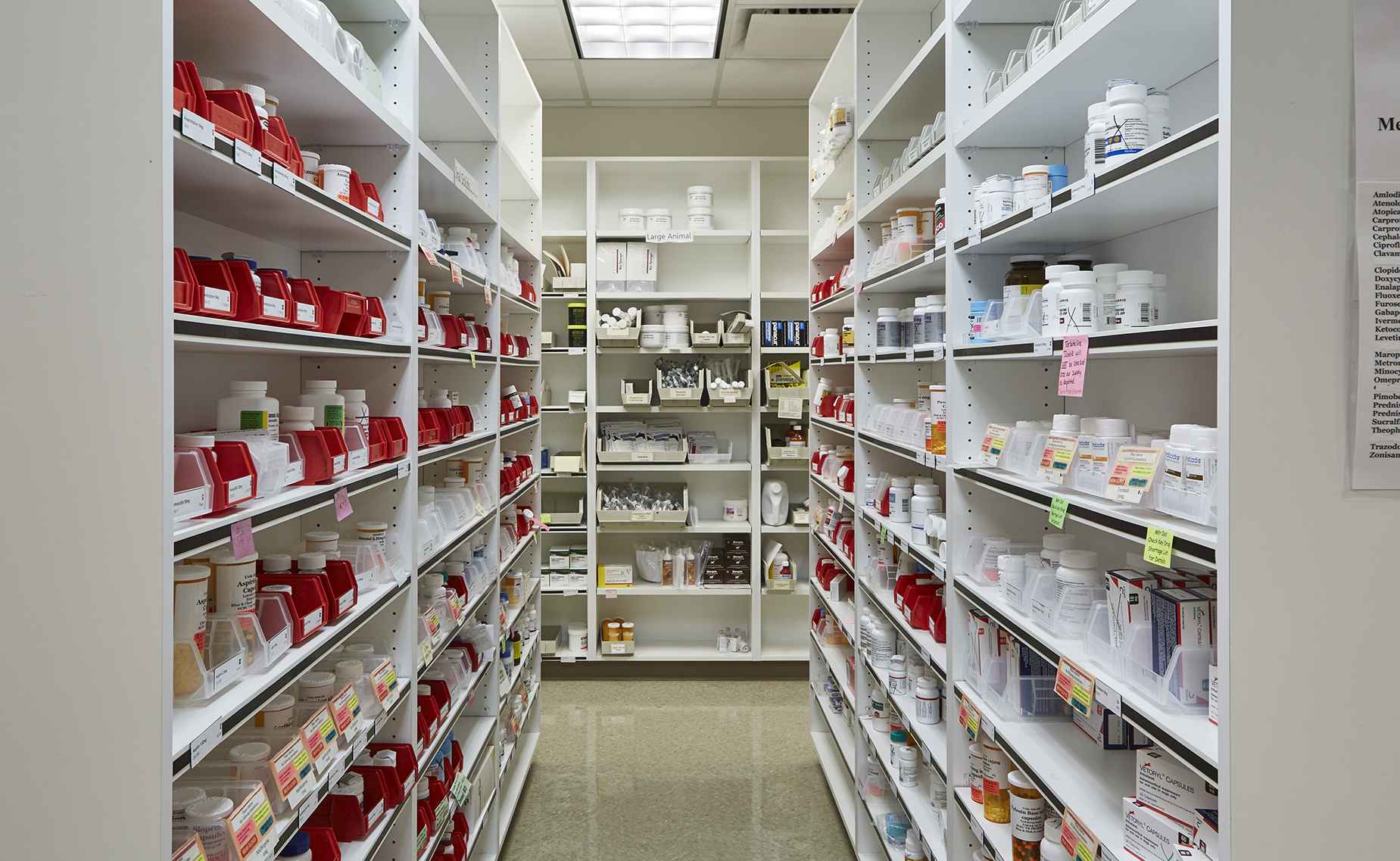 Rows of medications on shelves