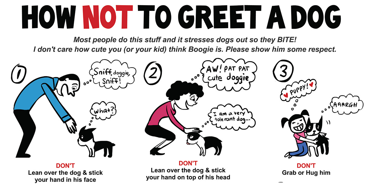 how not to greet a dog poster
