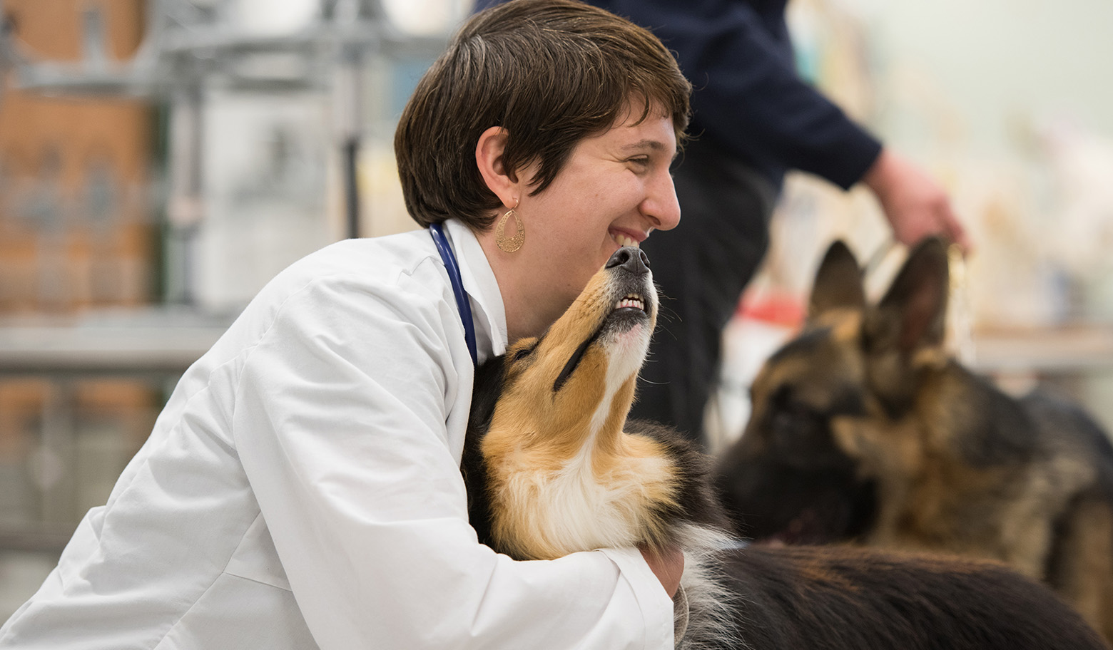 female veterinarian holds collie dog, german shepard in the background