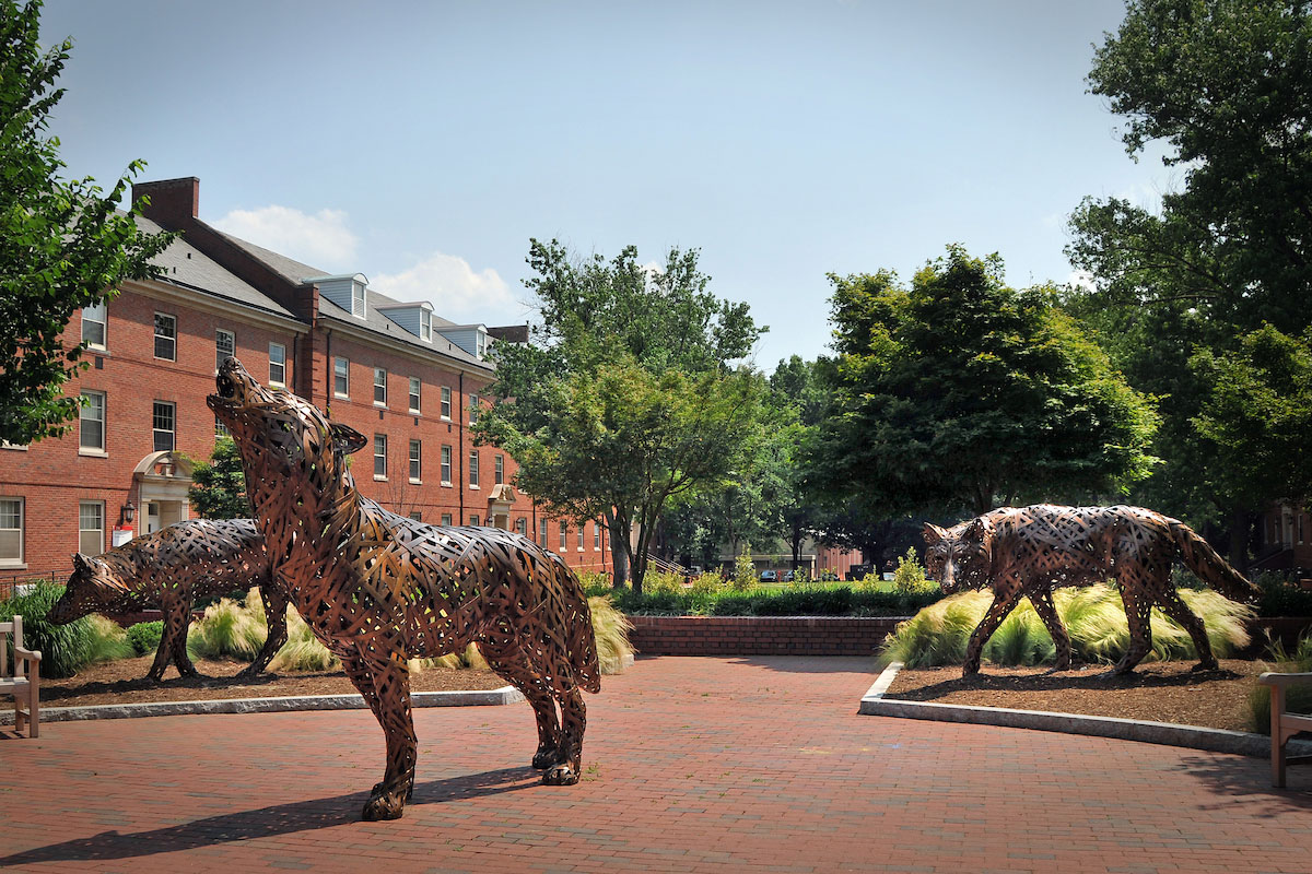 copper wolf statues on main campus