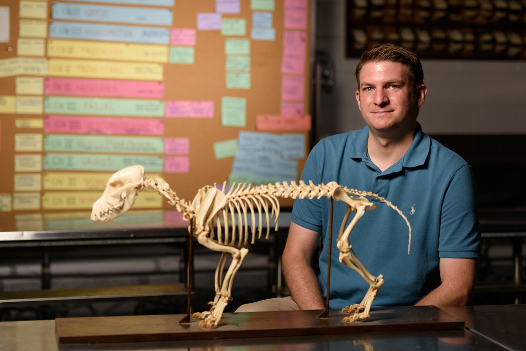 Man in blue shirt sitting with skeleton of animal