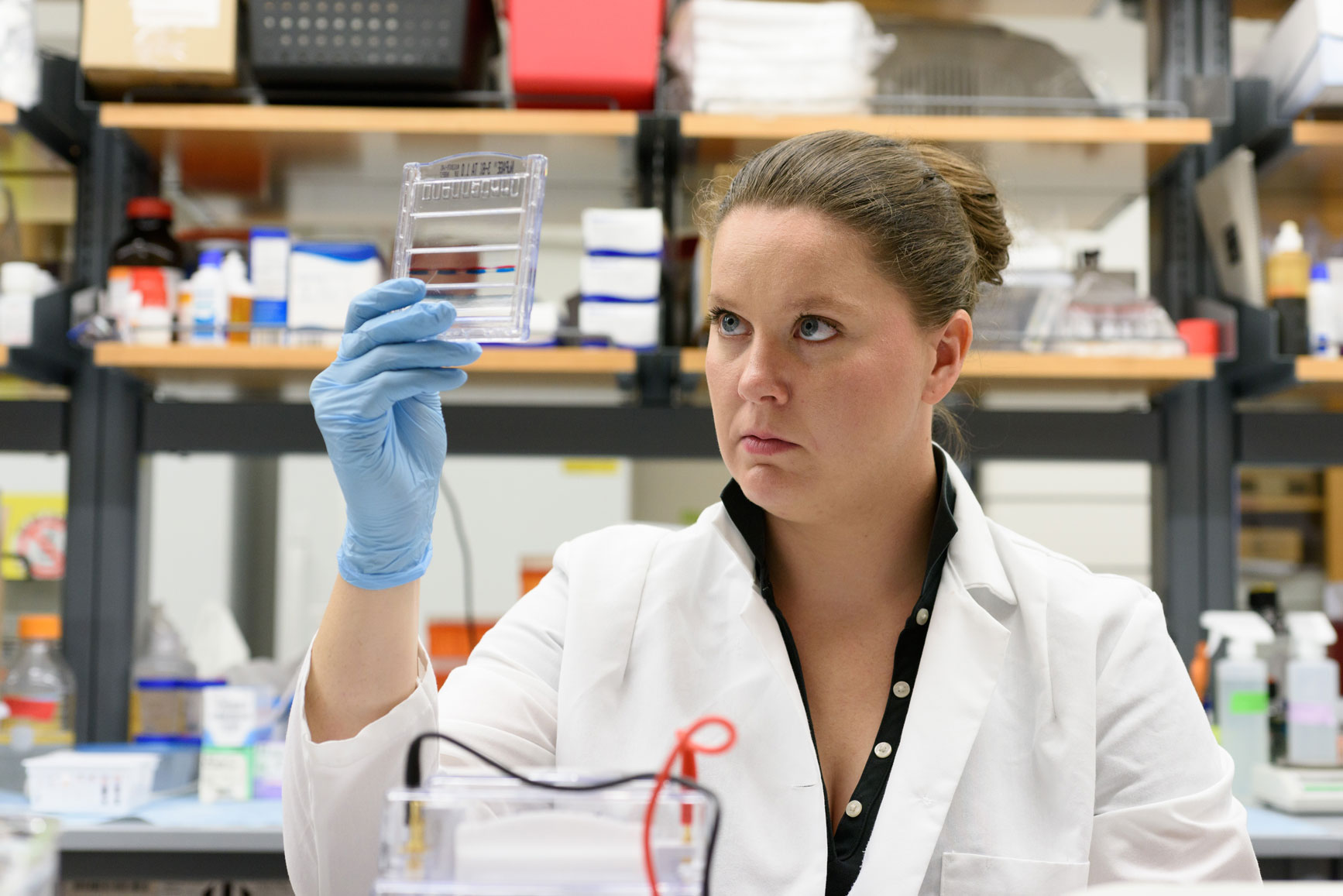 researcher examines sample