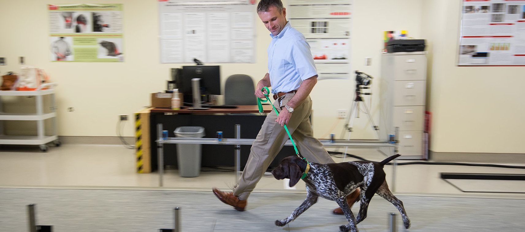 Veterinarian walking dog