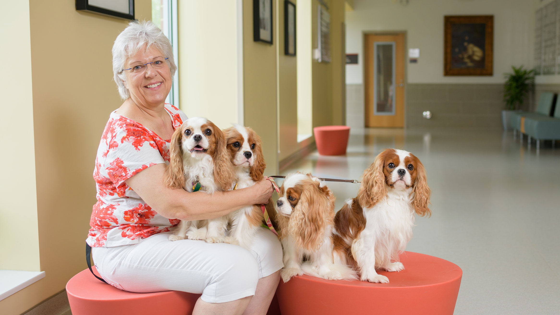 Cathy Eason with her Cavalier King Charles spaniels