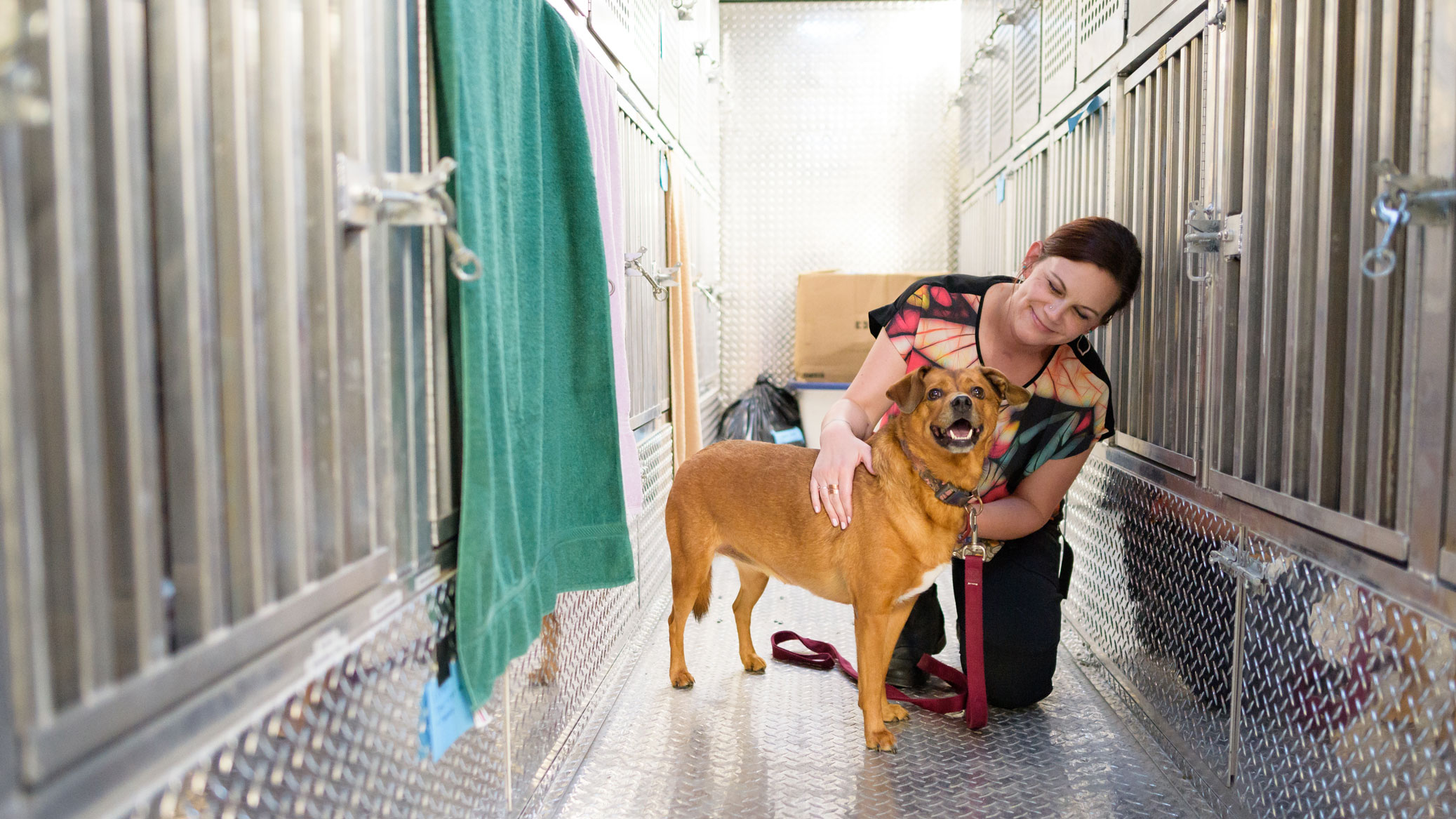 Sara Bennett comforts dog