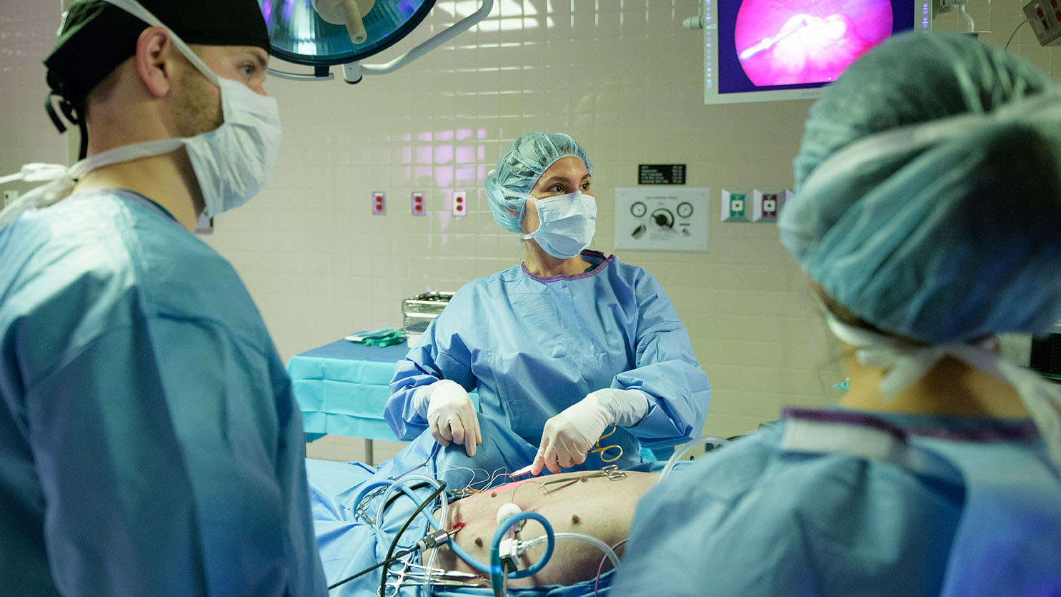 Marine Traverson performing a soft tissue surgery