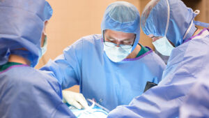 Dr. Simon Roe (center) and Dr. Daniel Duffy (right) perform a total hip replacement.Photo by John Joyner/NC State Veterinary Medicine