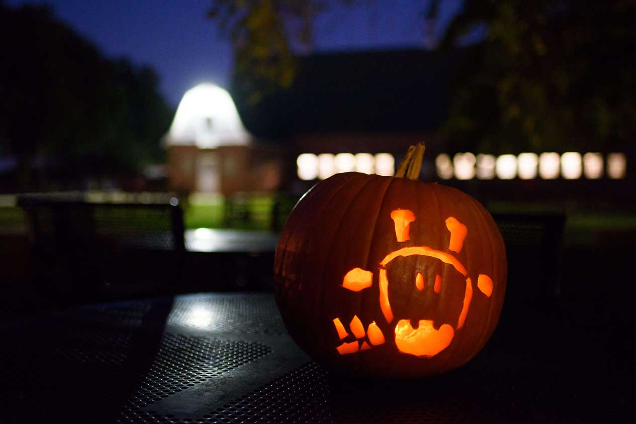 Carved pumpkin in front of barn.