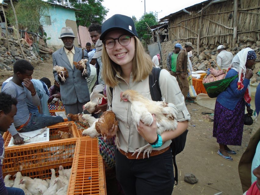 Hannah Sather visits a poultry market in Ethiopia as part of her global health certificate summer research project.