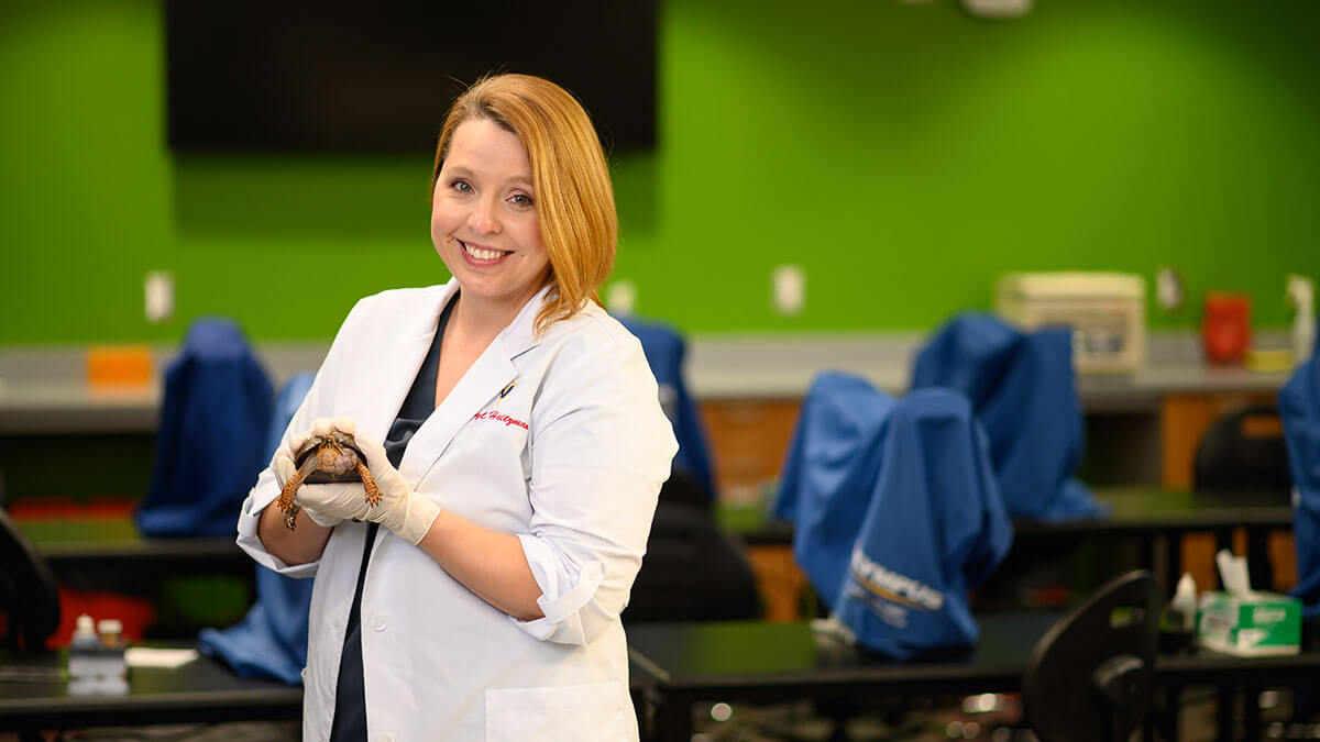 Cheryl Heitzman holds a Turtle Rescue Team box turtle patient