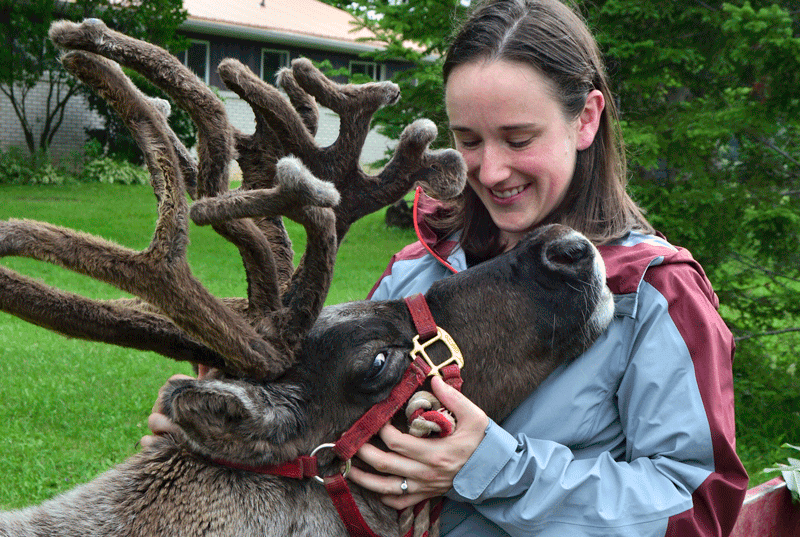 Reindeer lady