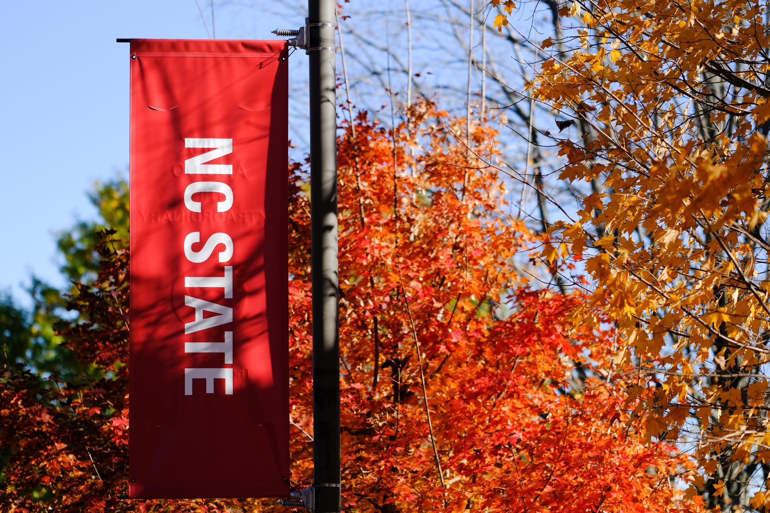 NC state banner with fall foliage