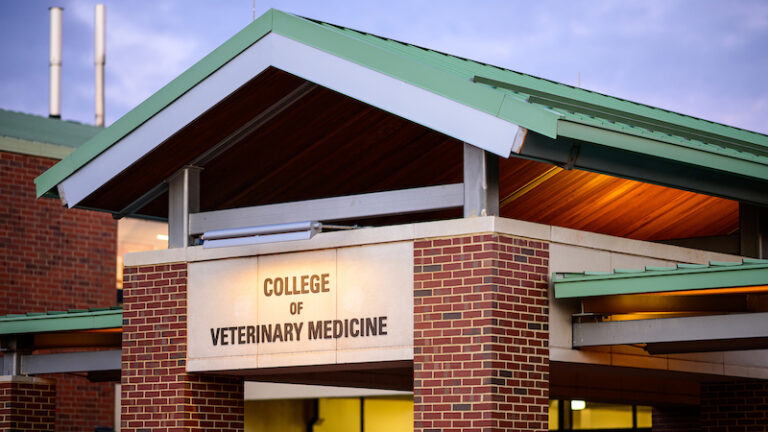 39 NC State Veterinary Medicine Students Receive 2021-22 Annable ...