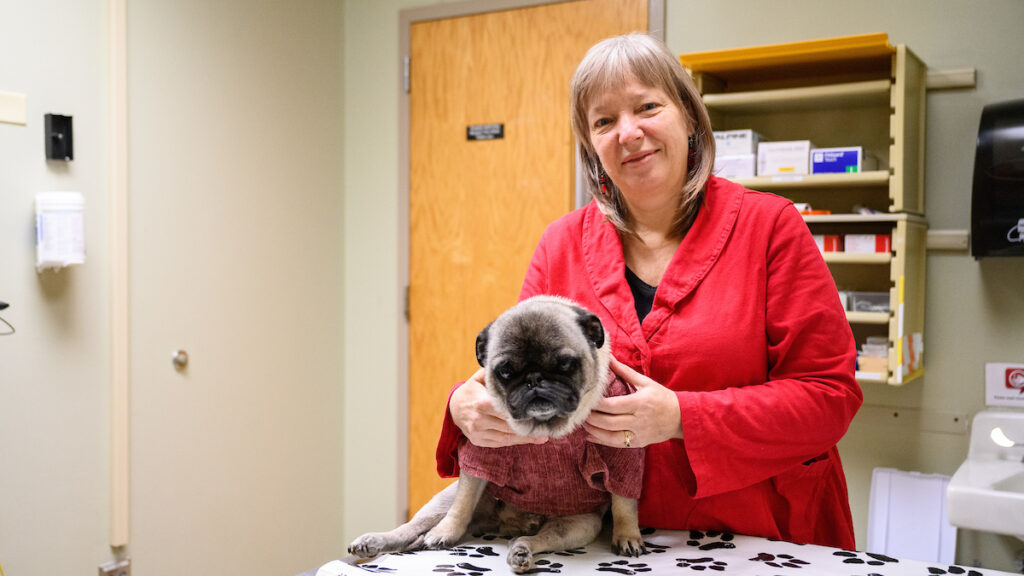 Woman with pug in examination room
