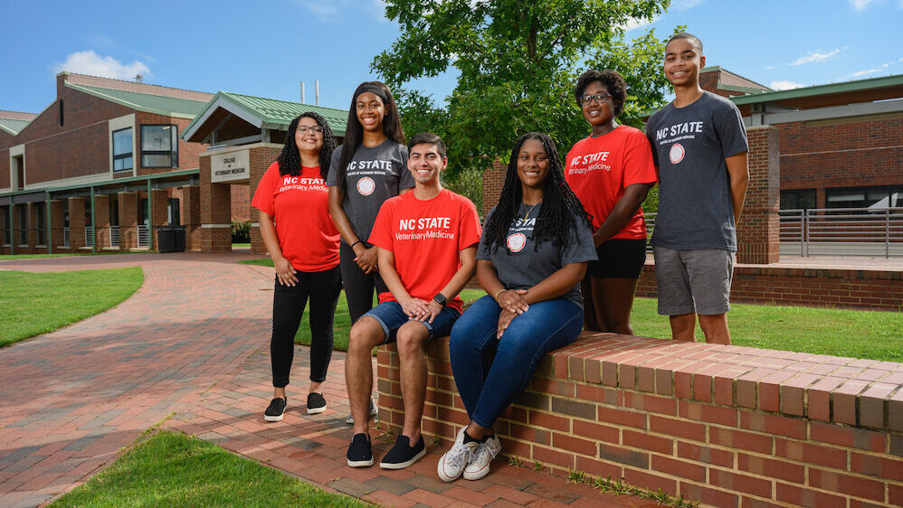 Inclusion, diversity and NC State College of Veterinary Medicine