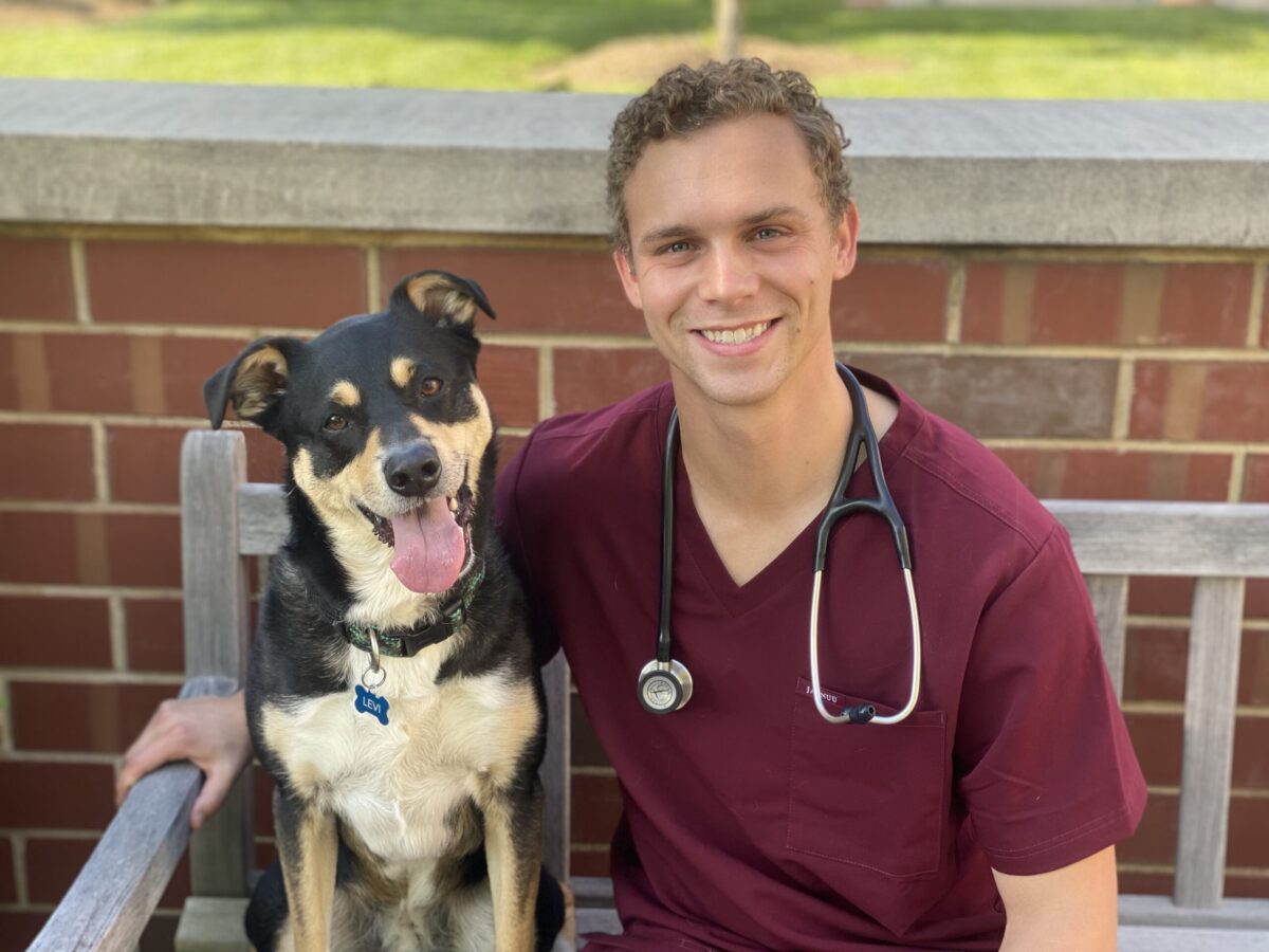 vet with dog patient