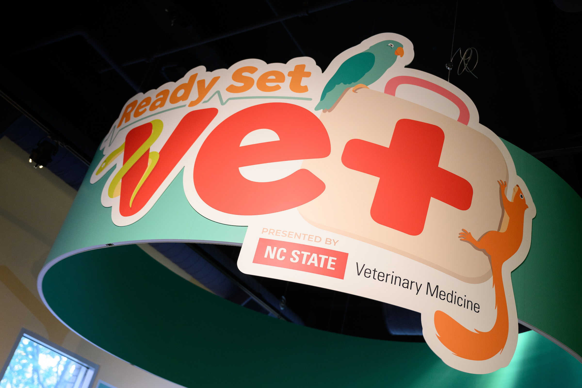 ready set vet at marbles kids museum