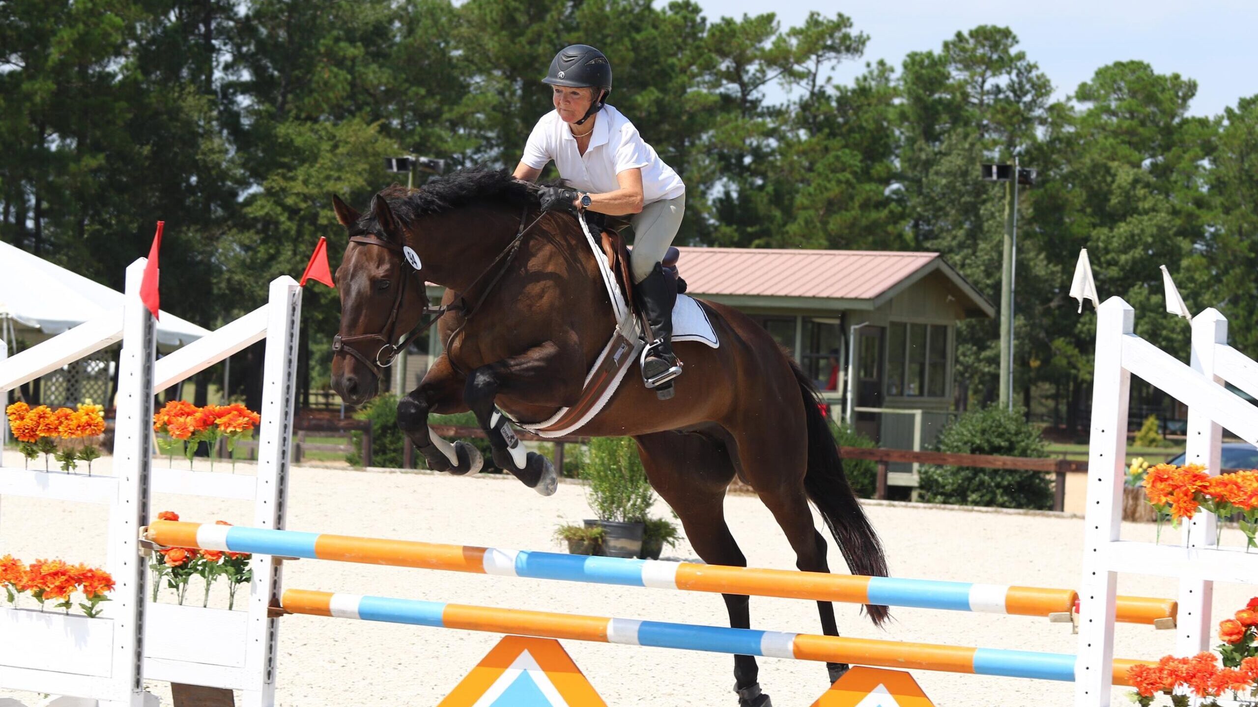 horse and jockey jump obstacle
