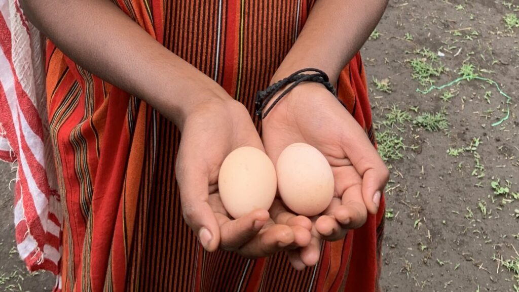 An Ethiopian in the Ada district of the Oromia region displays eggs.