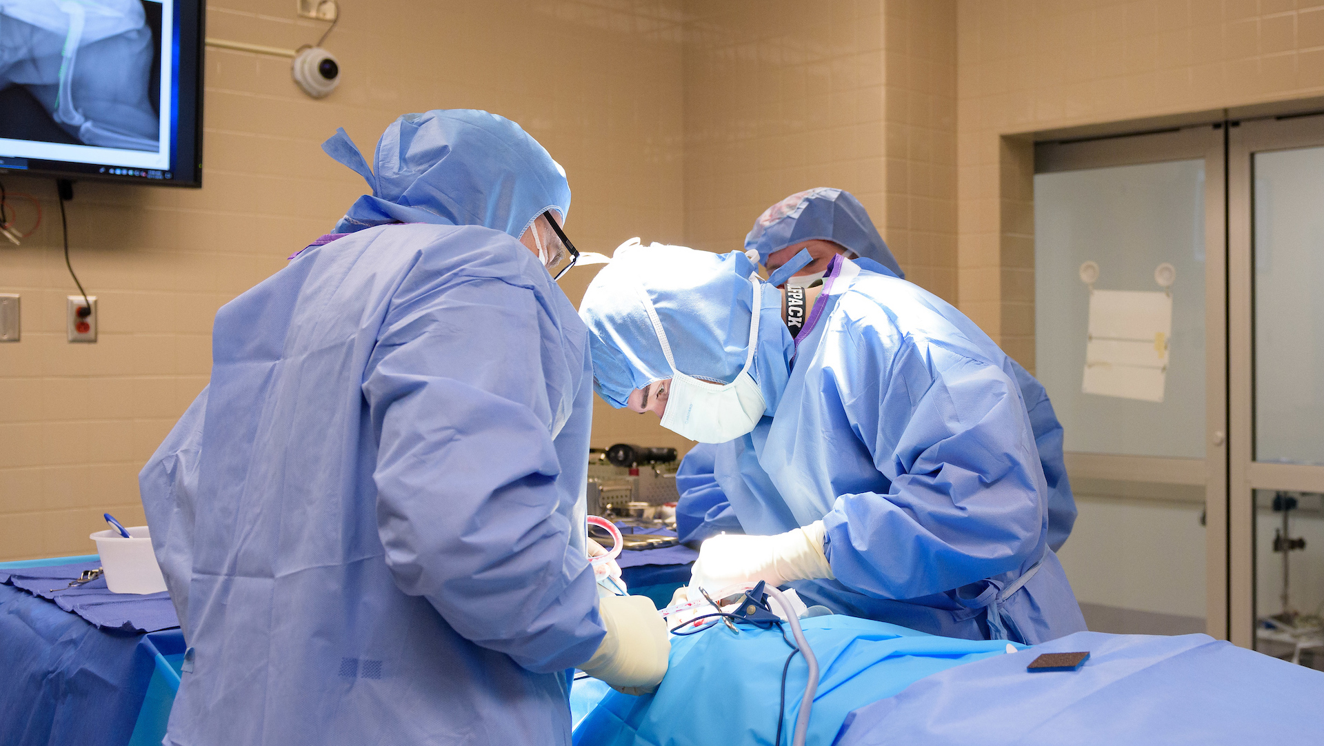 NC State Veterinary Medicine surgeons perform a hip replacement on a patient.