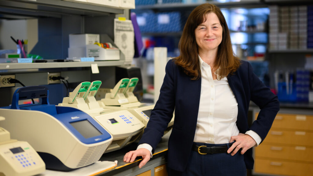 NC State College of Veterinary Medicine Dean Kate Meurs