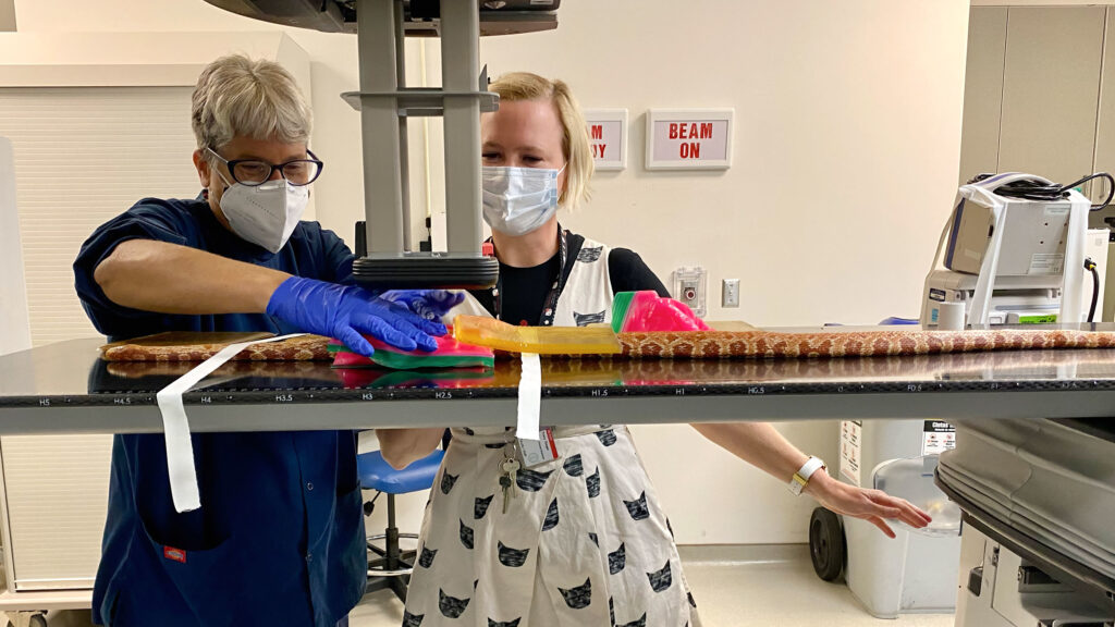 The NC State team cares for Rusty the Corn Snake during his cancer treatments.