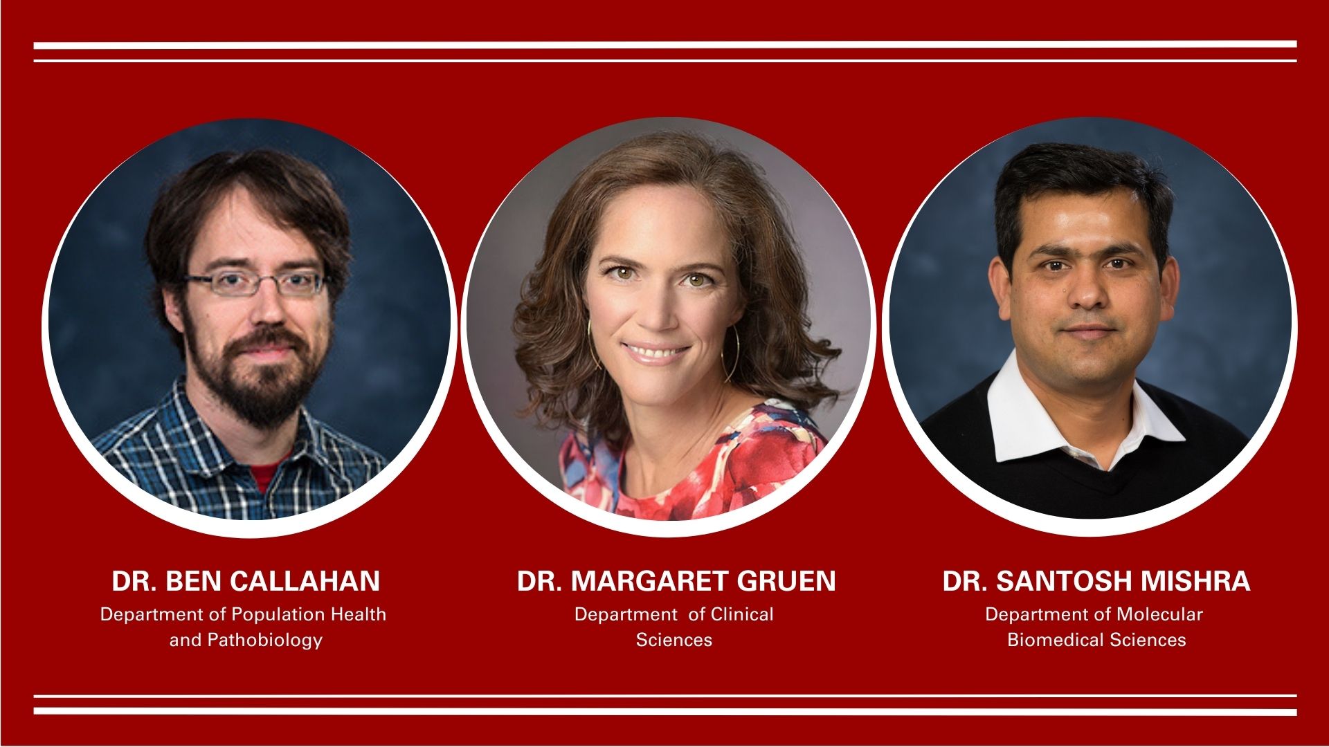 Dr. Ben Callahan, Dr Margaret Gruen and Dr. Santosh Misra