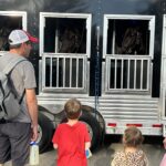The Taylor family from Sanford, North Carolina, checked out the horses from the NC Troopers Association Caisson Unit.