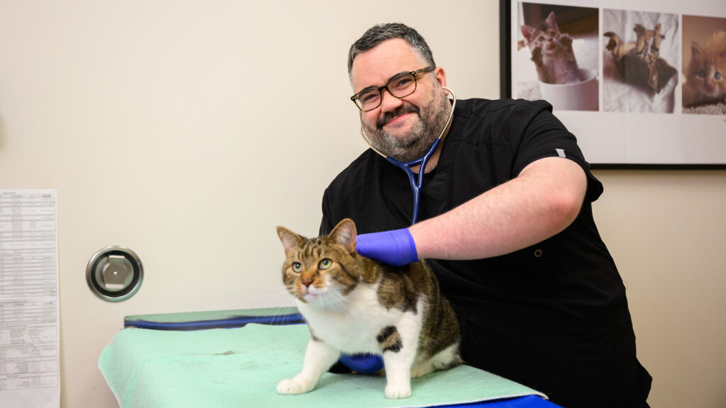 Dr. Alex Lynch is one of the co-directors of the new Feline Health Center
