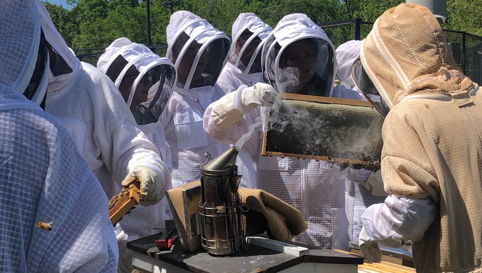 NC State veterinary students learn about beekeeping