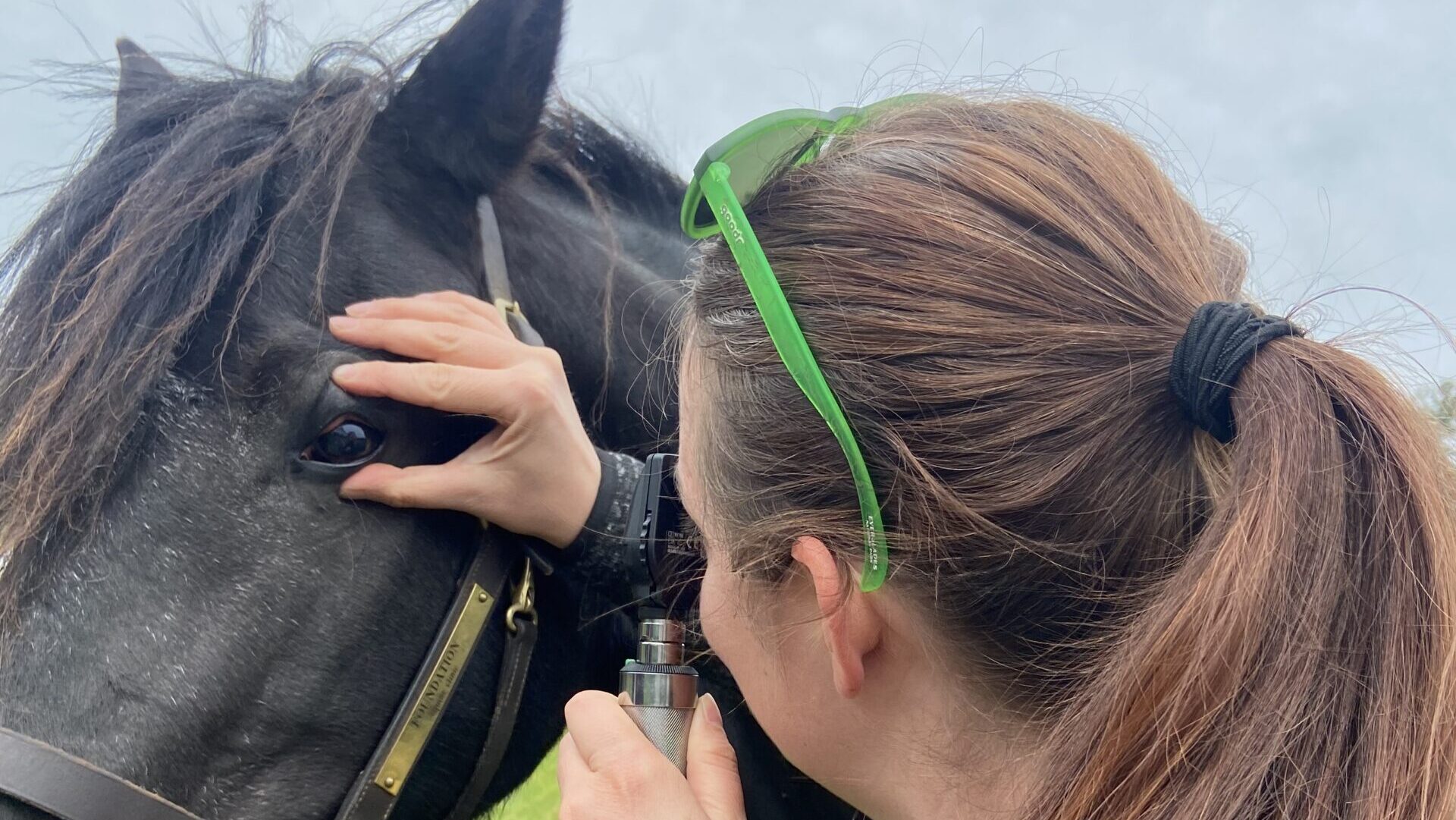 Briana Blackwelder examines a horse's eyes