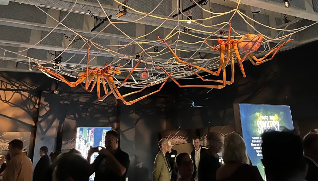 Giant model spiders on the ceiling of the new special exhibition, Spiders: Fear to Fascination.