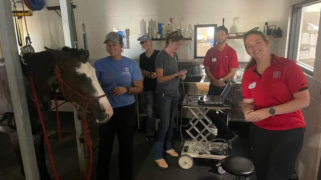 Briana Blackwelder completed an externship at Brazos Valley Equine Hospital in Texas