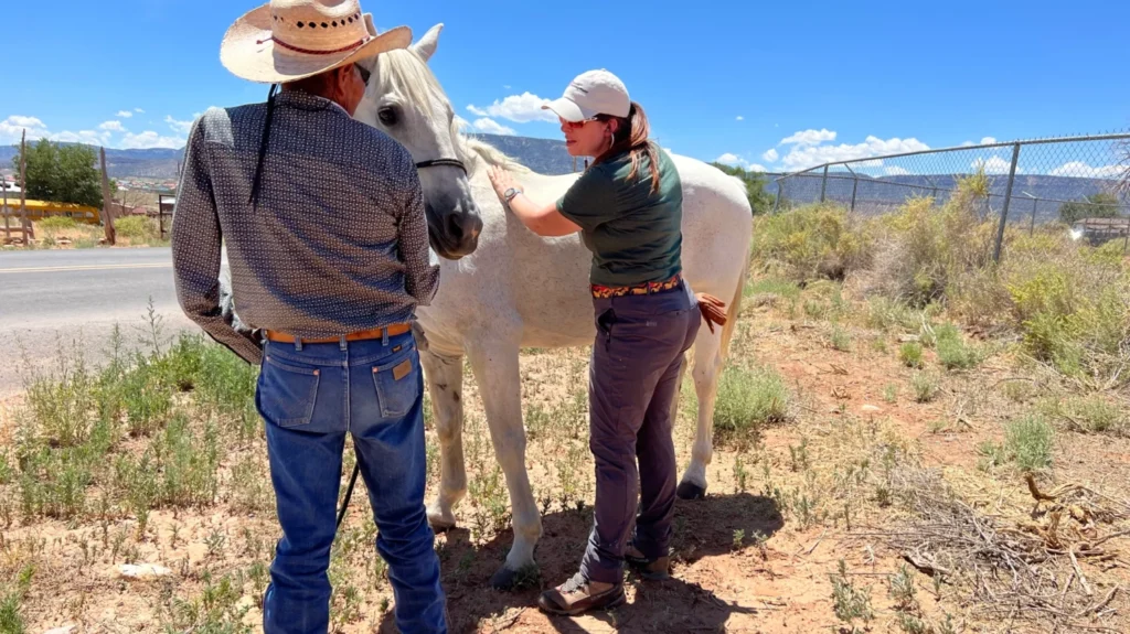 Briana Blackwelder is spending part of her summer on a Christian Veterinary Mission trip to Navajo Nation.