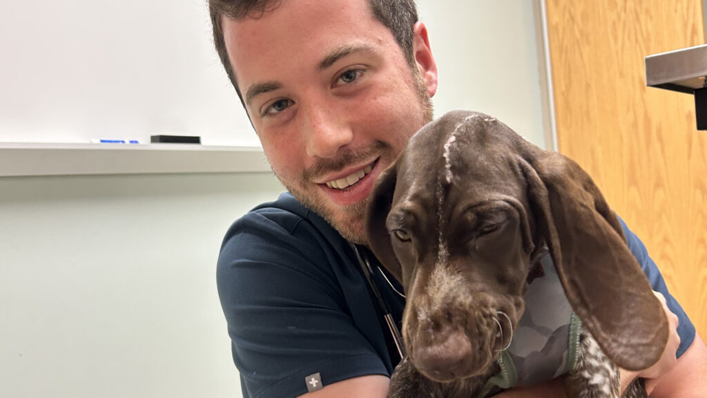 A veterinarian wearing scrubs and smiling at the camera embraces a brown-and-white German shorthaired pointer puppy with a surgery scar on her head.