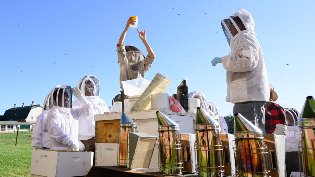 Honey Bee Consortium