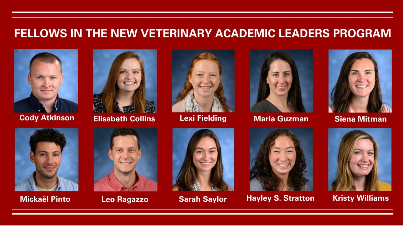 Training Veterinary Professors of the Future New NC State Program