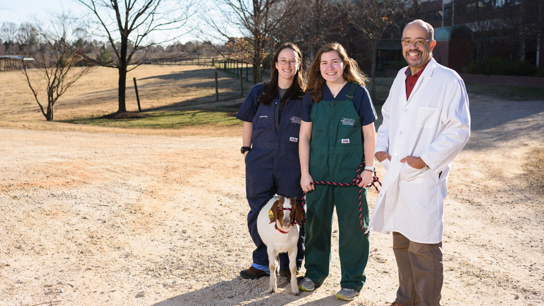Veterinary student Danielle Mzyk, left, stands with student Claire Bublitz and Dr. Ronald Baynes in a field. Bublitz is holding a leashed goat.