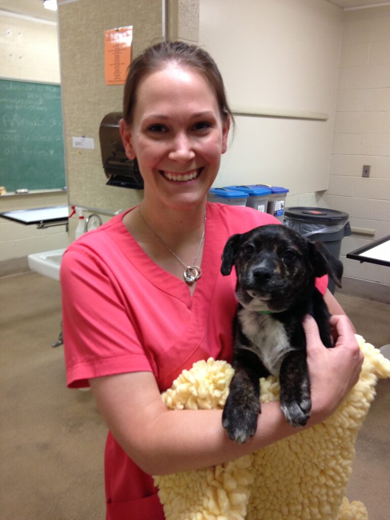 Dr. Candace Wimbish smiles at the camera while holding a black-and-white puppy in a yellow towel in an animal clinic in Oklahoma.