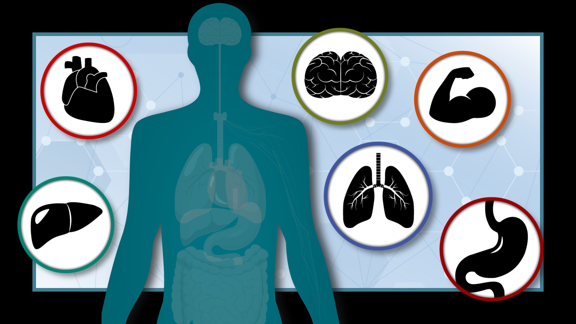 Graphic of human body with organ icons