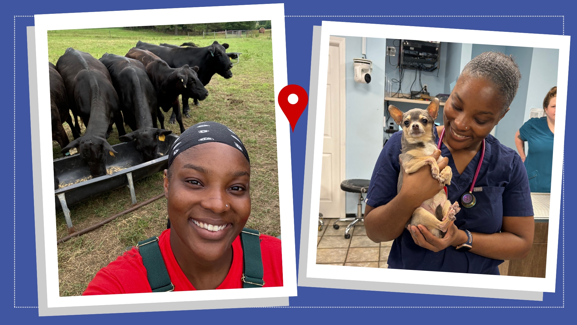 From a Veterinary Hospital, Shafarah Dixon Reports Veterinary